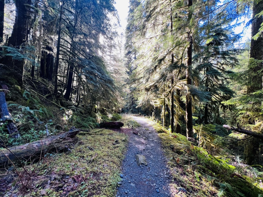 Caterpillar’s Crawl