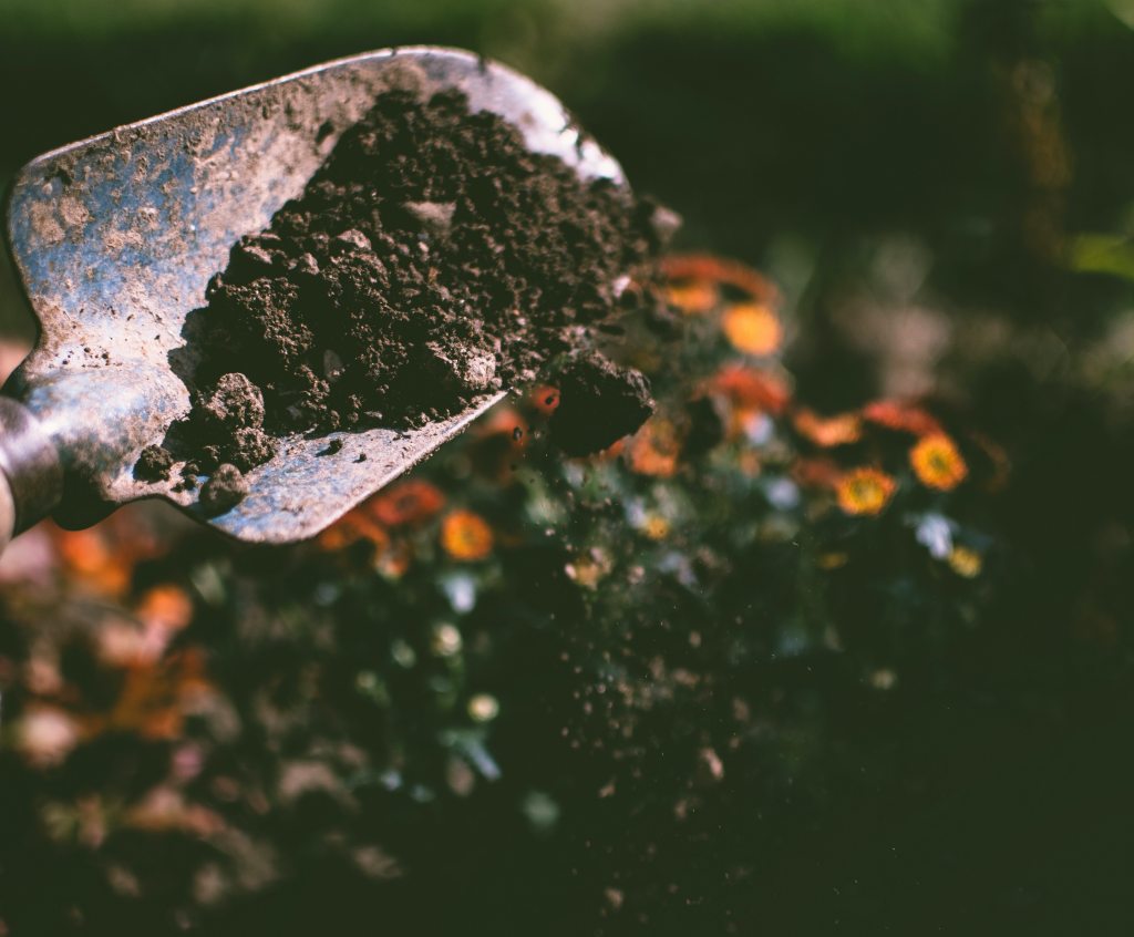 Four Years Later—A New Chapter 