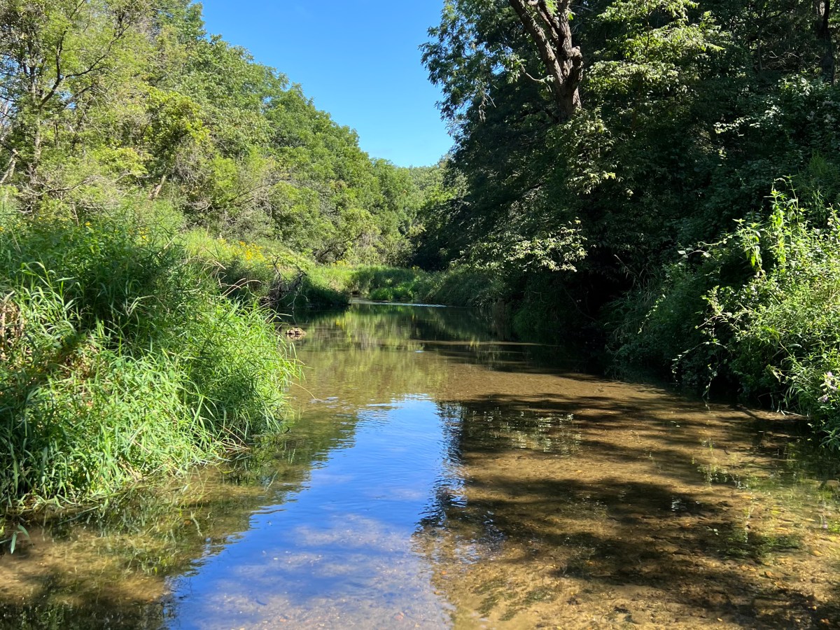 New Places to Find My&nbsp;Poetry!