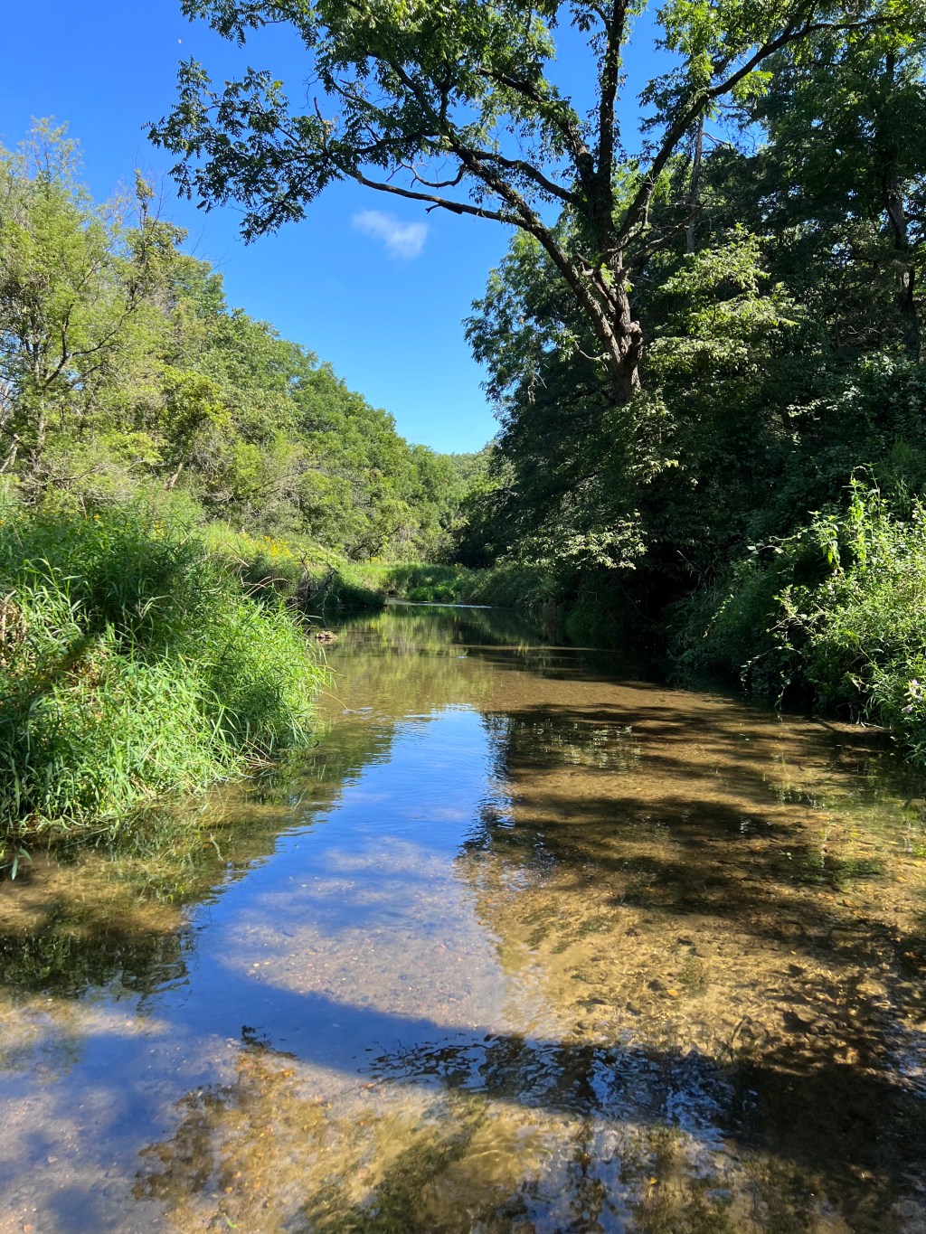 New Places to Find My&nbsp;Poetry!